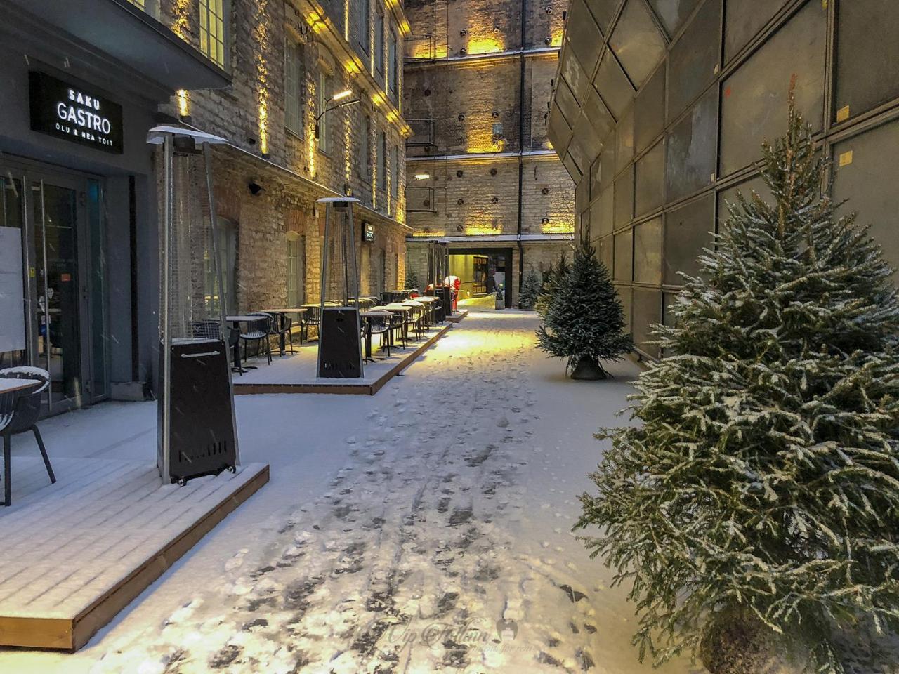 Vip Rotermanni Apartment 塔林 外观 照片